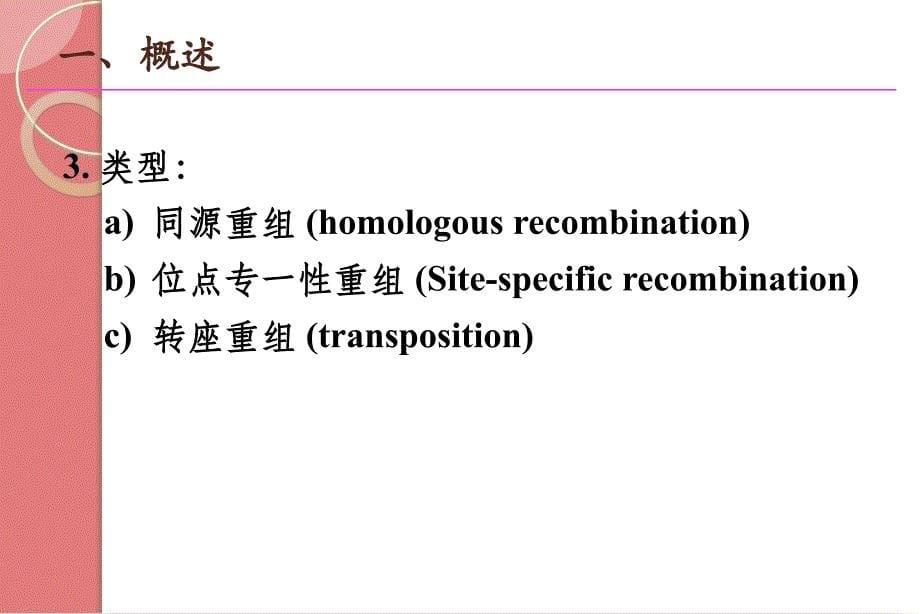 分子生物学：第七章 DNA的重组_第5页