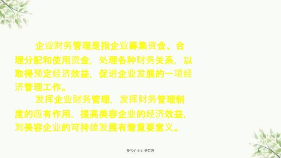 美容企业财务管理课件_第5页