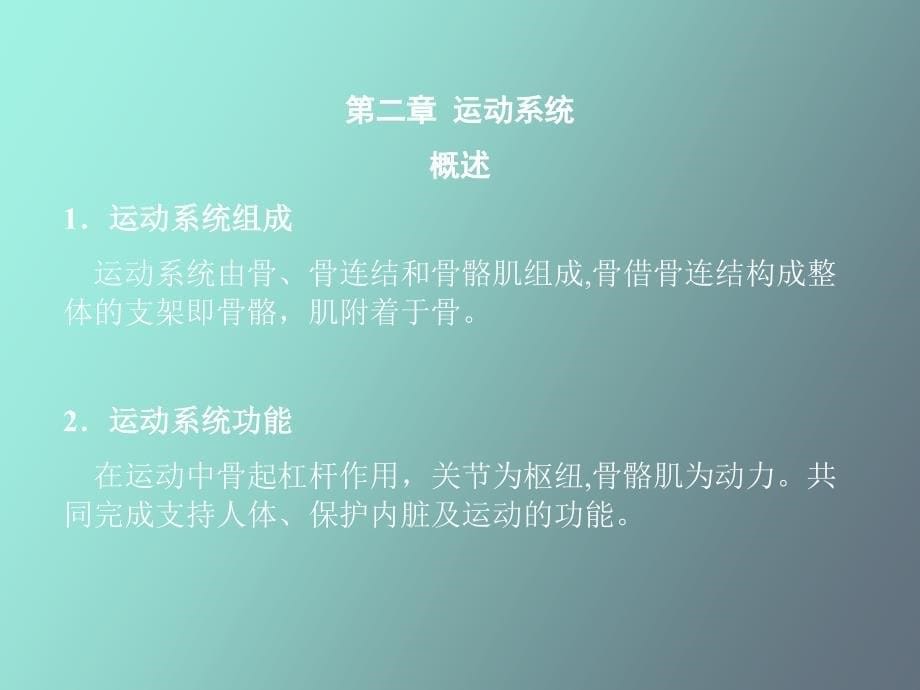 系统解剖讲座_第5页