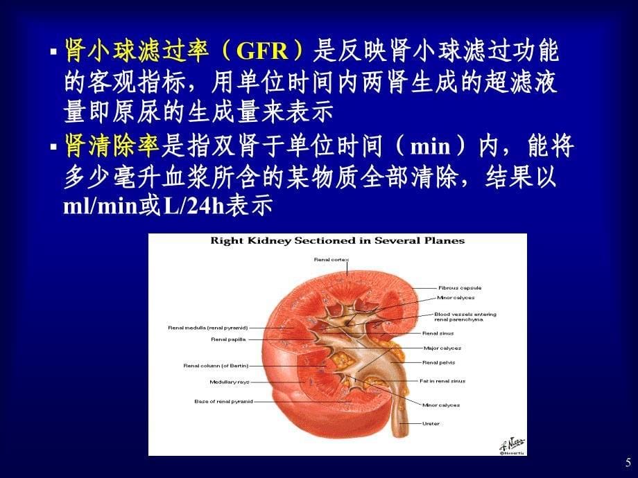 肾脏疾病的实验室检查_第5页