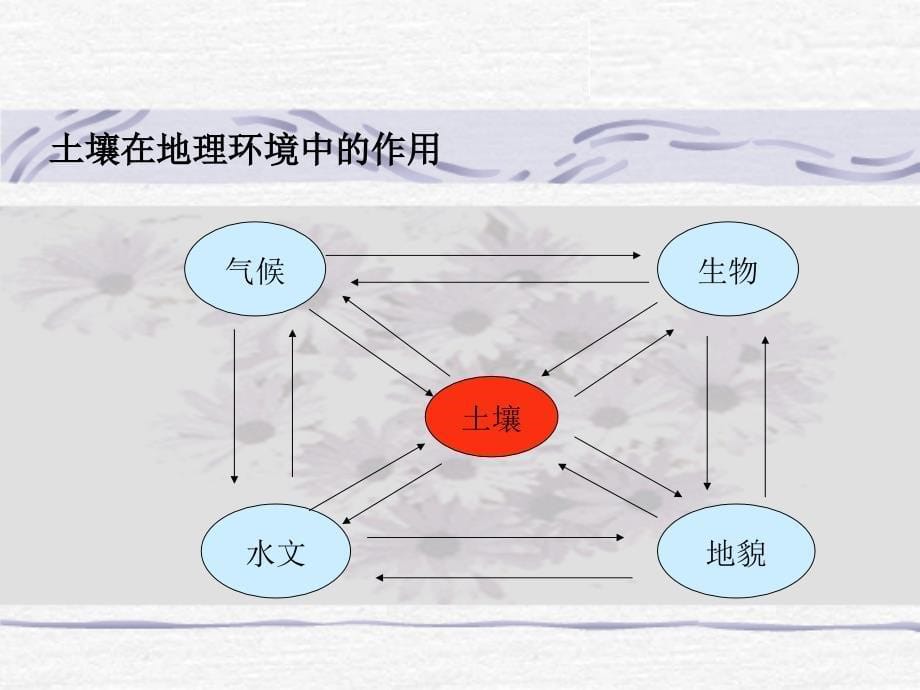 第五章 土壤质量监测---125_第5页