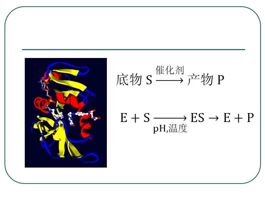 酶动力学和酶反应器_第3页