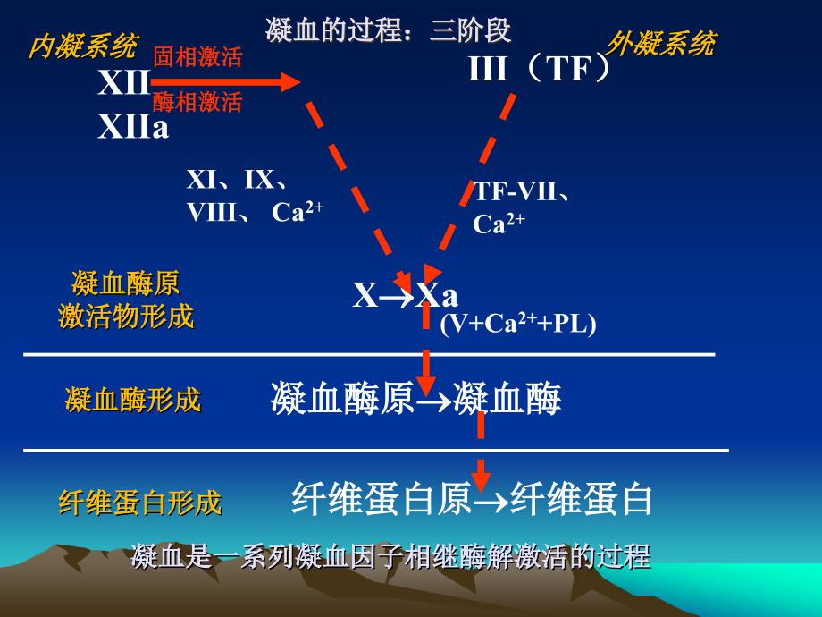 弥漫性血管内凝血DIC(ISTH指南)_第4页