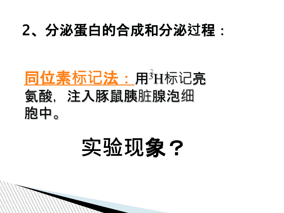 分泌蛋白的合成与运输_第3页