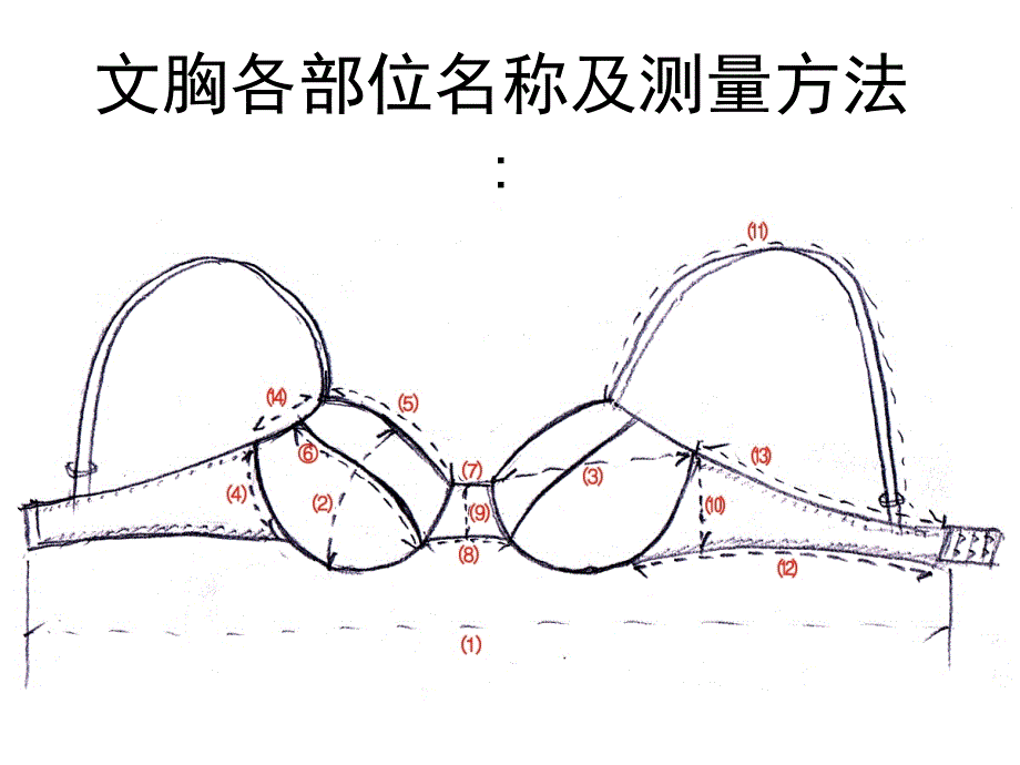 文胸各部位名称及测量方法.ppt_第1页