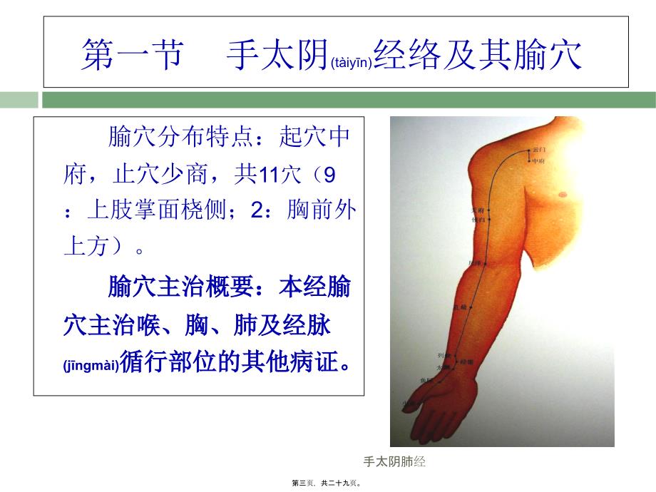 手太阴肺经课件_第3页