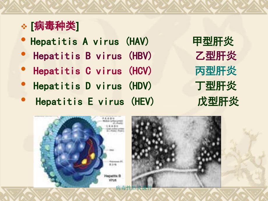 最新病毒性肝炎课件_第3页