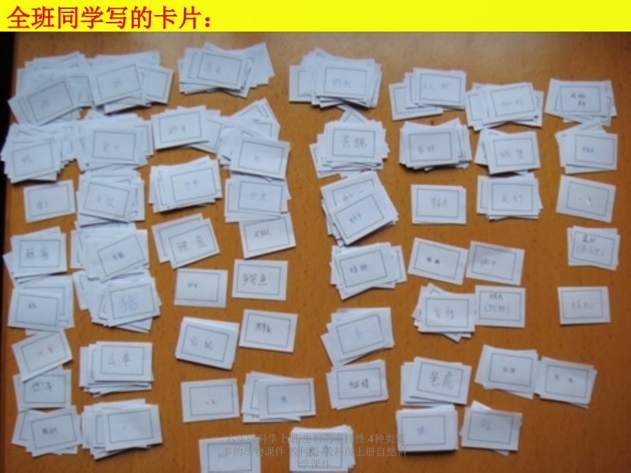 最新六年级科学上册生物的多样性4种类繁多的动物课件教科版教科级上册自然科学课件_第4页