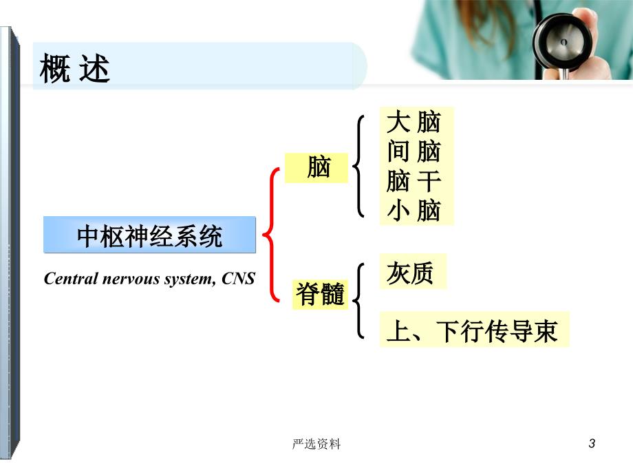 神经系统定位诊断(神经系统传导通路及定位诊断)（行业荟萃）_第3页