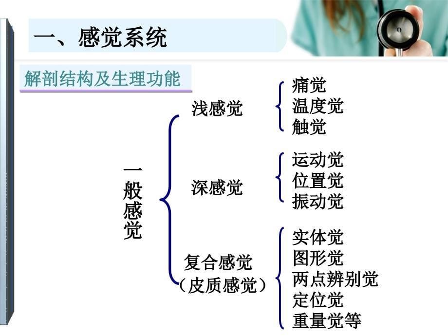 神经系统定位诊断(神经系统传导通路及定位诊断)（行业荟萃）_第5页