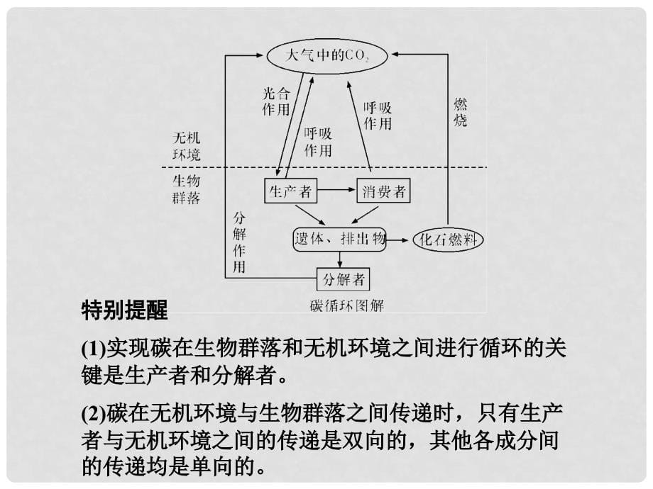 高考生物第一轮复习知识拓展 5.60生态系统的物质循环课件 浙科版必修3_第5页