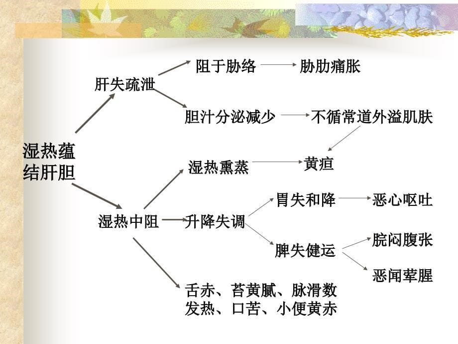 六章辨证7版修ppt课件_第5页