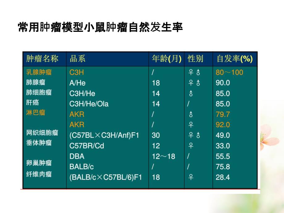 常见肿瘤动物模型一览_第4页