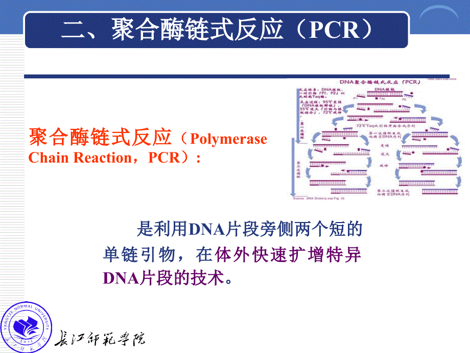 实验三基因序列查找及PCR引物设计_第3页