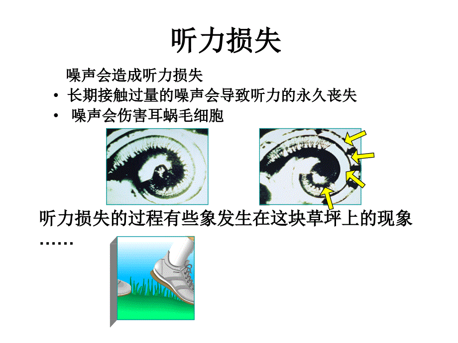 噪音危害及听力防护_第2页