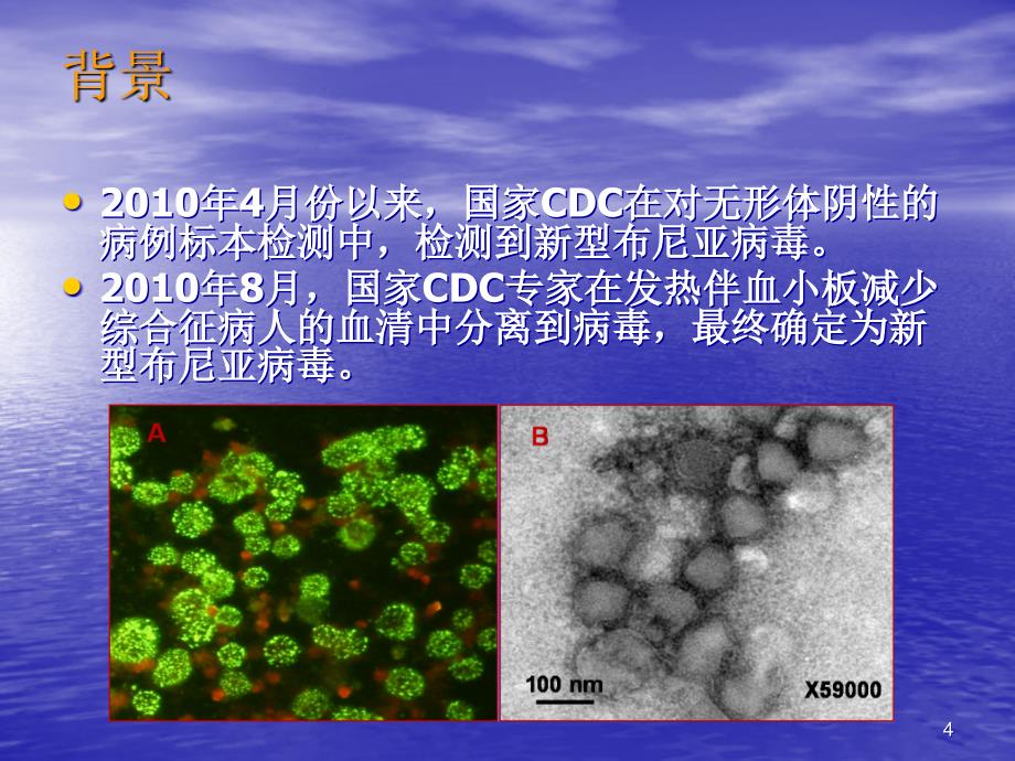 发热伴血小板减少综合征ppt课件_第4页