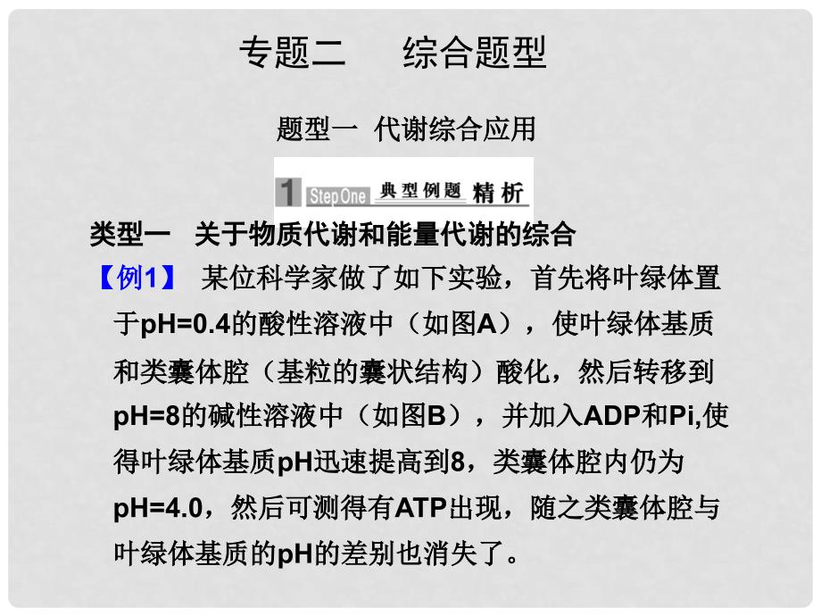 高三生物高考二轮专题复习精品课件：综合题型一（代谢综合应用） 全国通用_第2页