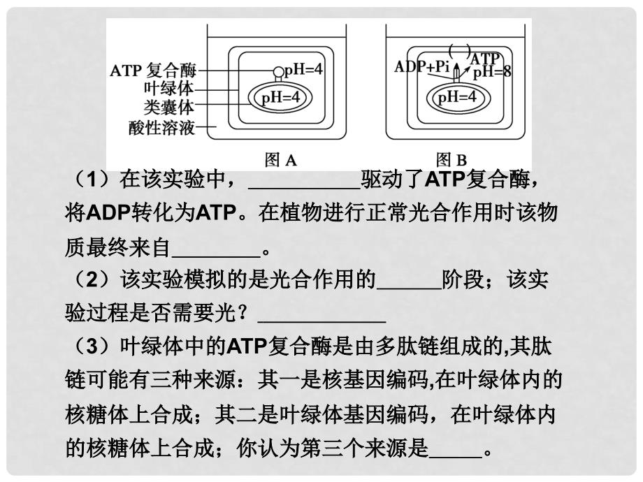 高三生物高考二轮专题复习精品课件：综合题型一（代谢综合应用） 全国通用_第3页