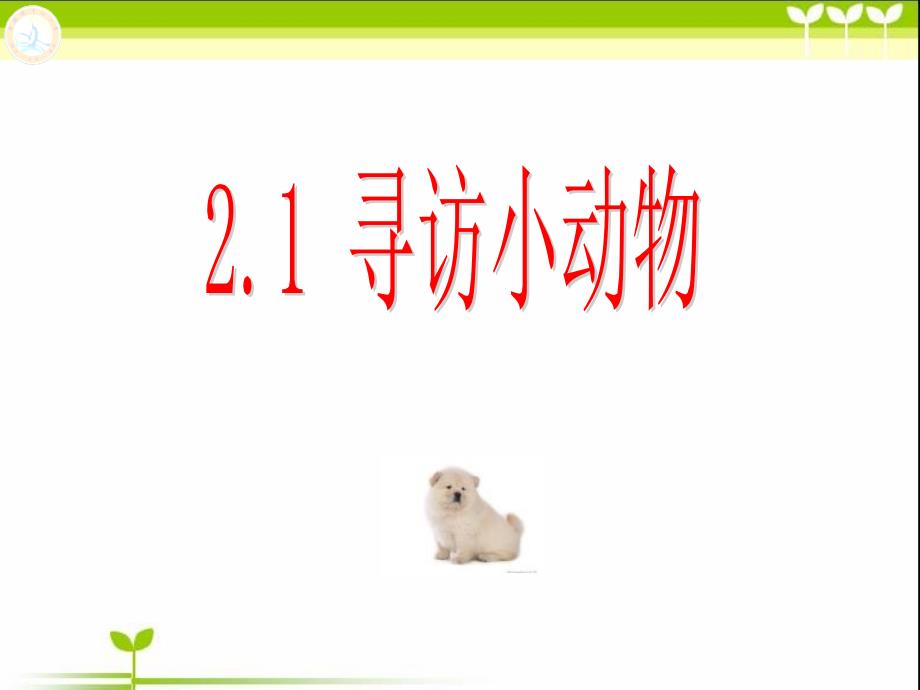 21寻访小动物_第1页