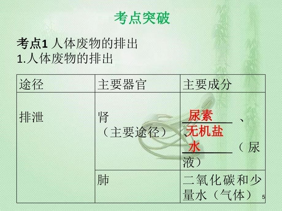 中考生物第四单元第五章人体内废物的排出复习优质课件_第5页