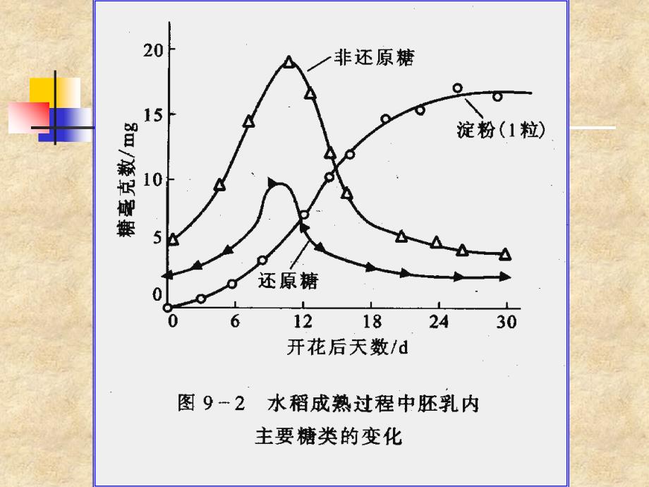 成熟和衰老(精)课件_第4页