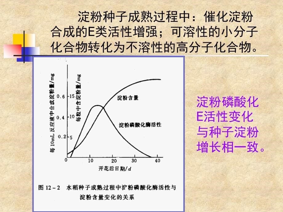 成熟和衰老(精)课件_第5页