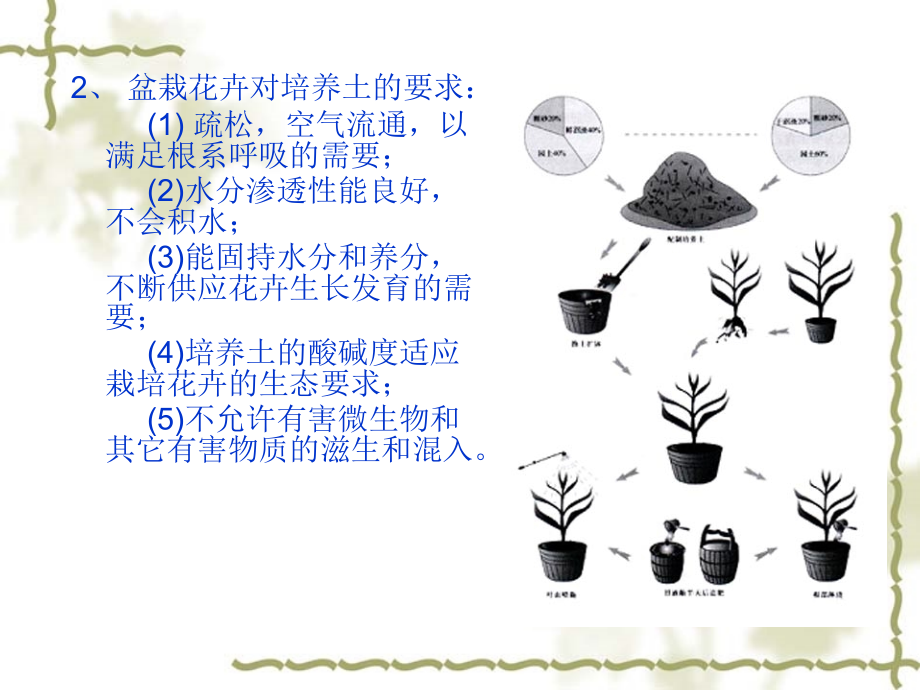 2022温室花卉的栽培_第4页