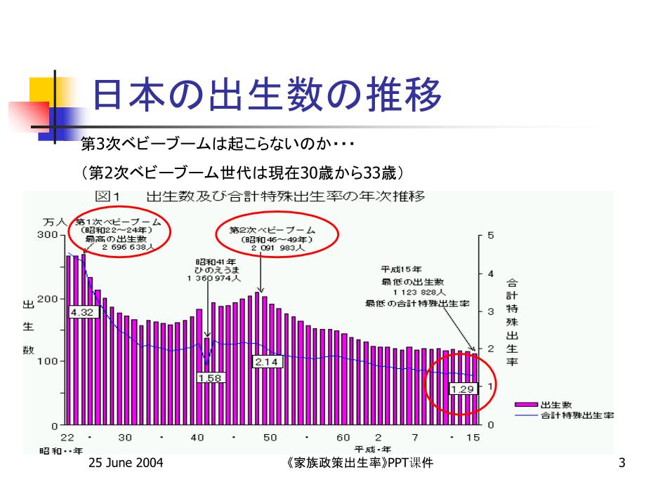 家族政策出生率课件_第3页