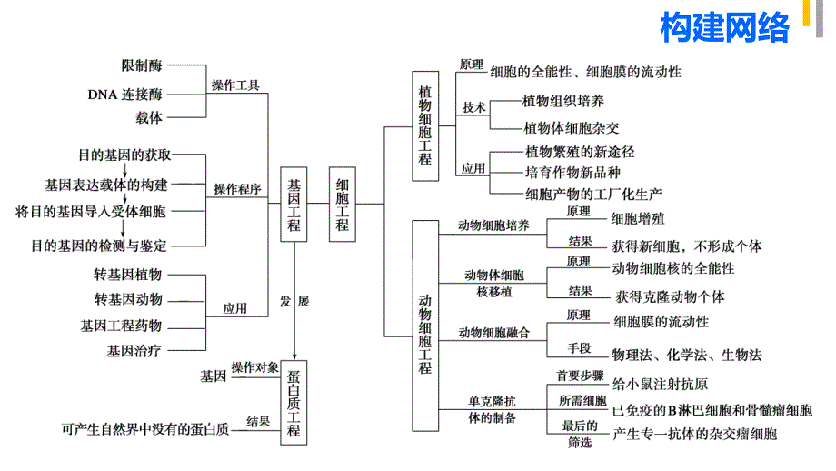 高中生物二轮复习教案_第3页