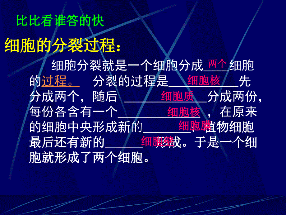 细胞分化形成组织课件_第3页