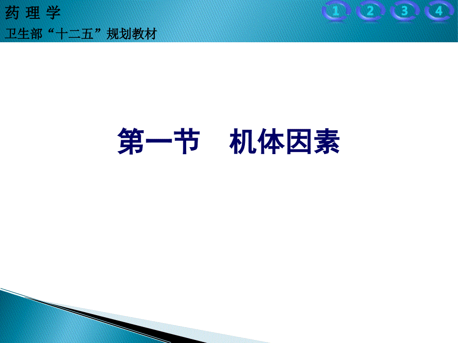 影响药物作用的因素.ppt_第4页