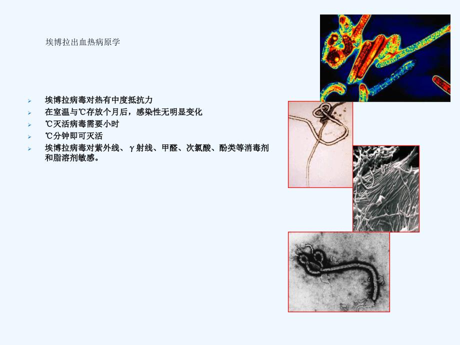 埃博拉出血热实验室检测和生物安全_第4页