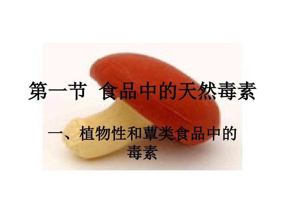 第二十六章食品中的有害成分ppt课件_第4页