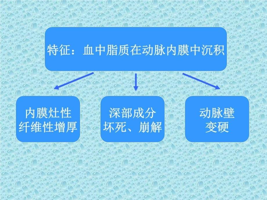 《心血管系统疾病》PPT课件.ppt_第3页