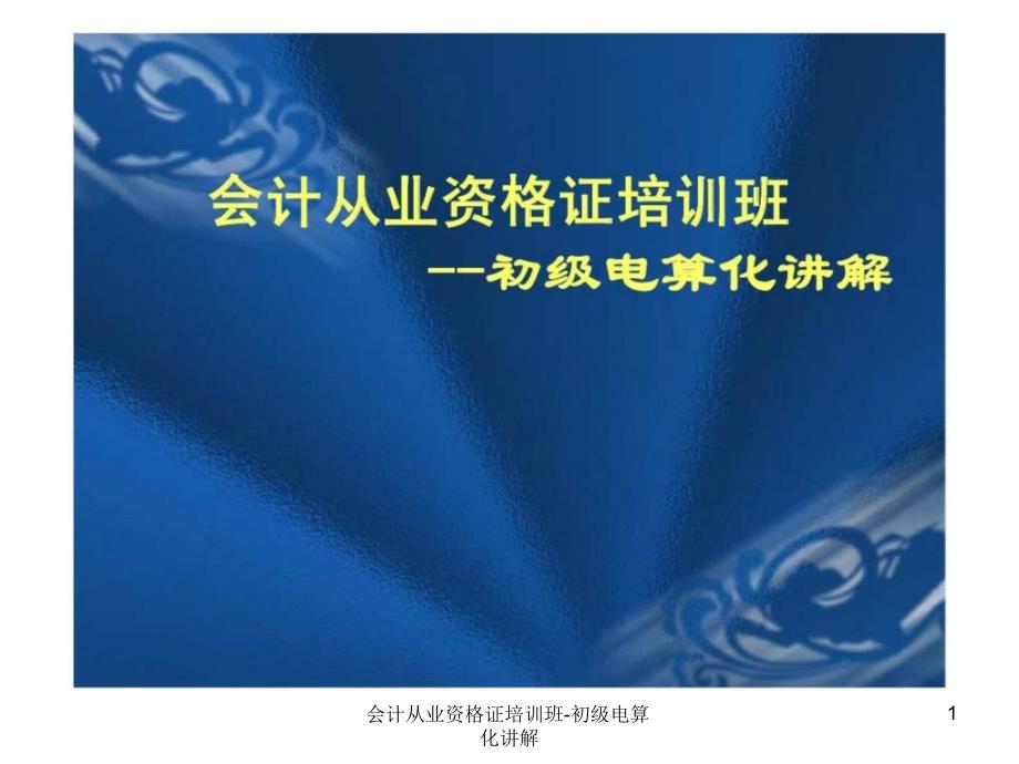 会计从业资格证培训班初级电算化讲解课件_第1页