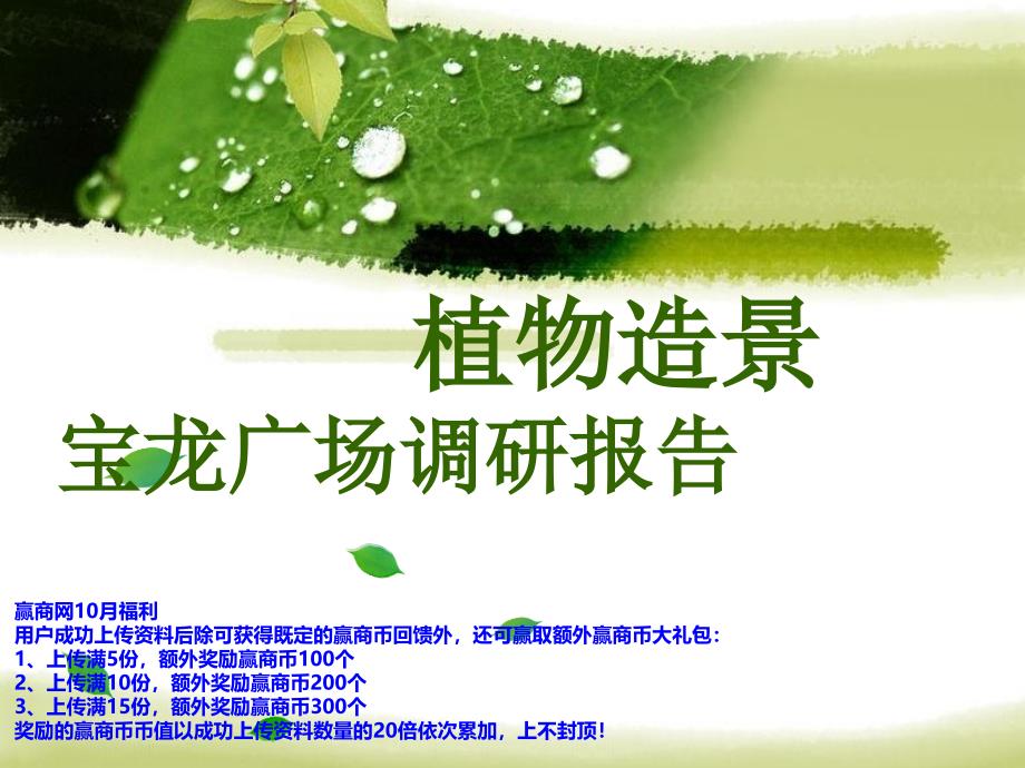 郑州宝龙广场植物造景调研(47页)_第1页
