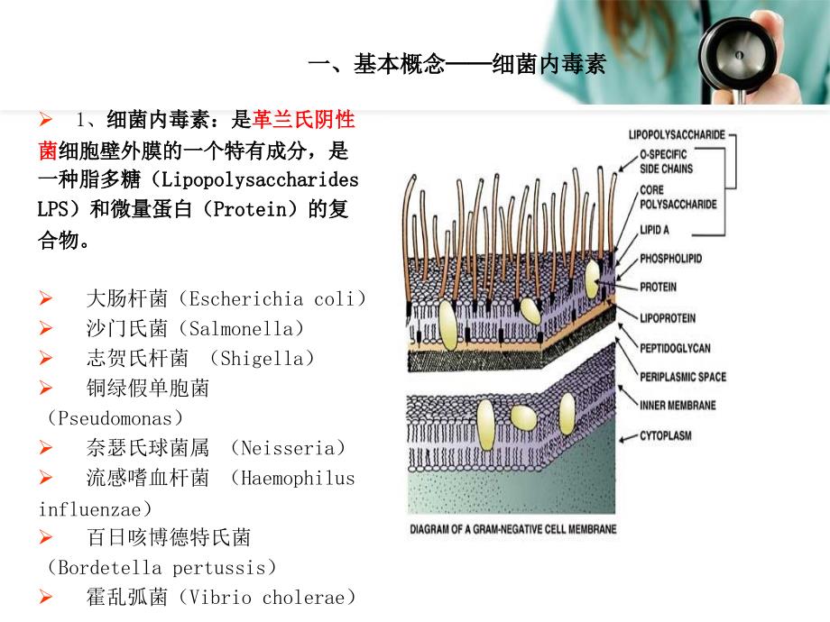 内毒素与真菌葡聚糖检测的临床意义_第4页