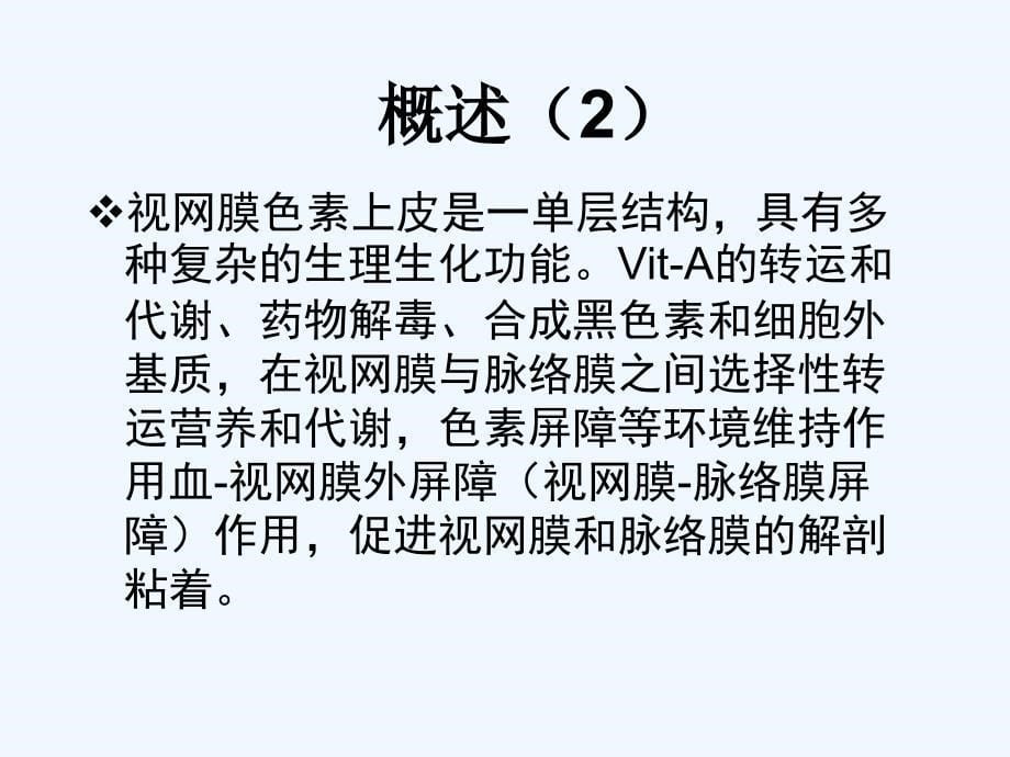 ER视网膜病ppt课件_第5页