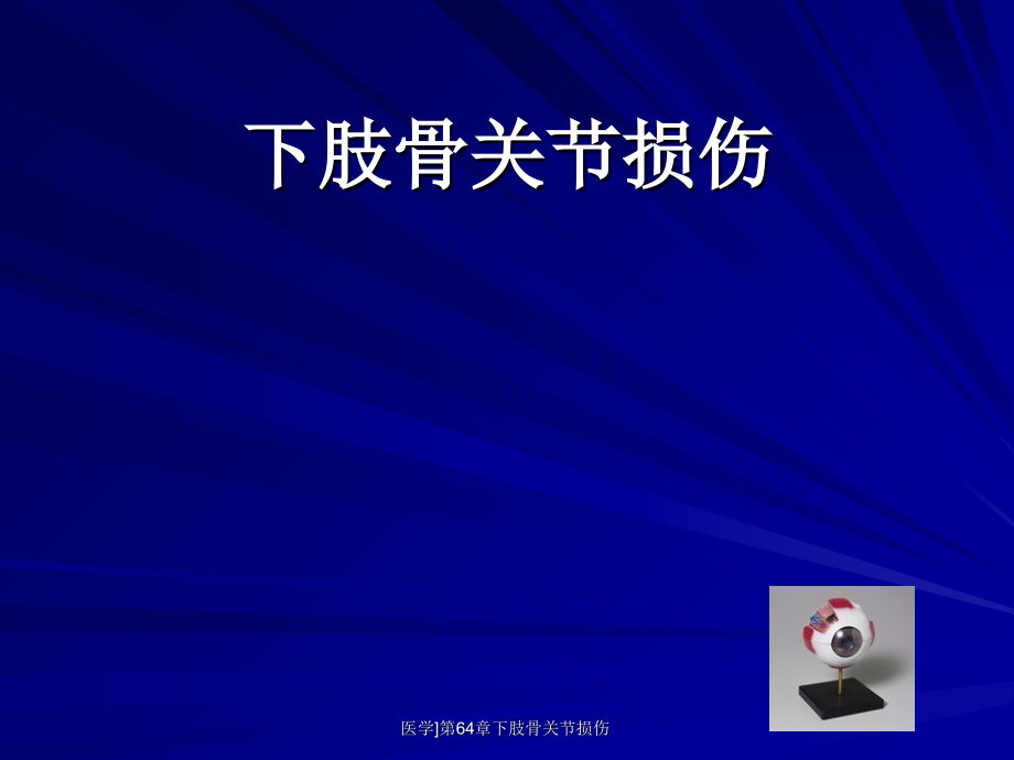 医学第64章下肢骨关节损伤课件_第1页