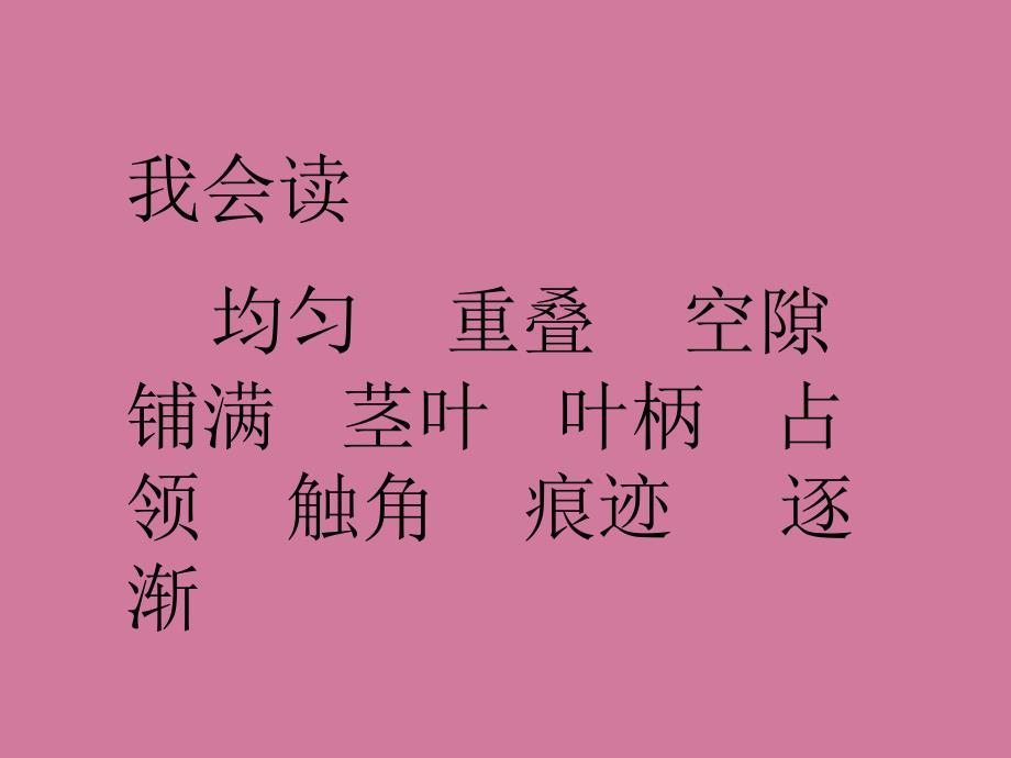 小学四年级上册语文第六课爬山虎的脚2ppt课件_第4页