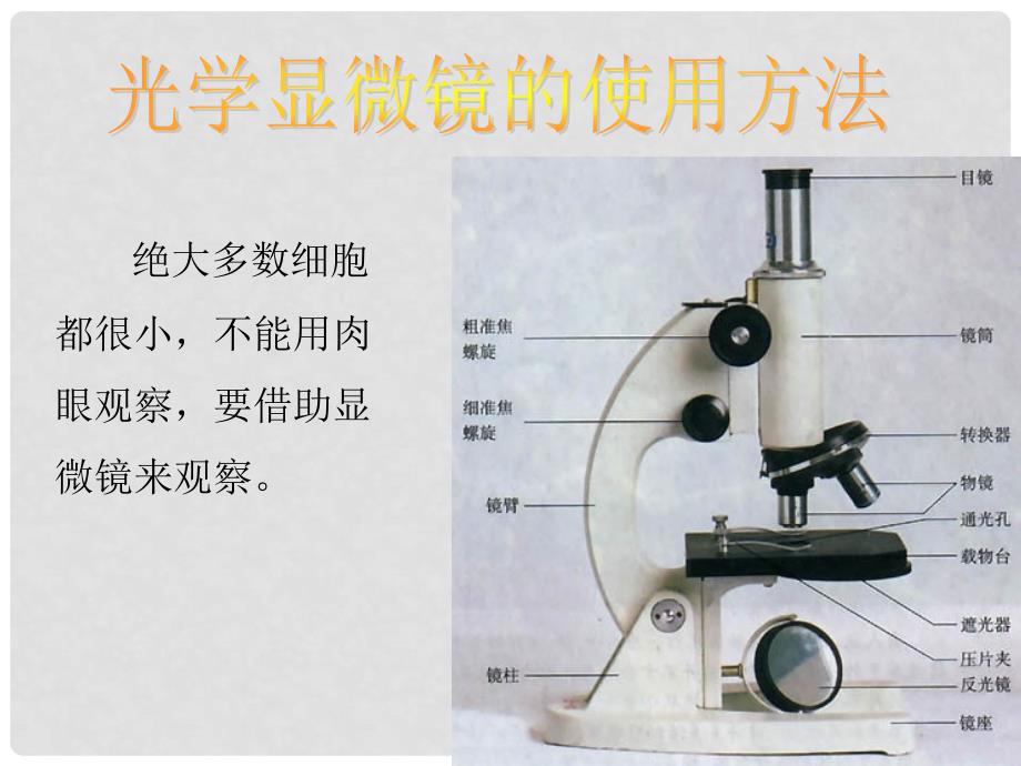 七年级生物上册 3.1 细胞的基本结构和功能课件 北师大版_第4页