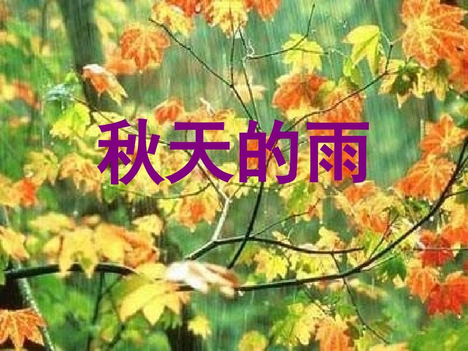 三年级语文秋天的雨_第1页