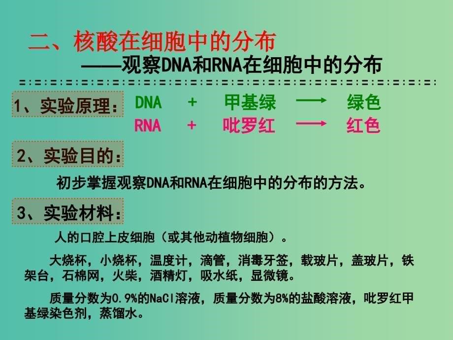 高中生物 2.3 遗传信息的携带者-核酸复习课件 新人教版必修1.ppt_第5页