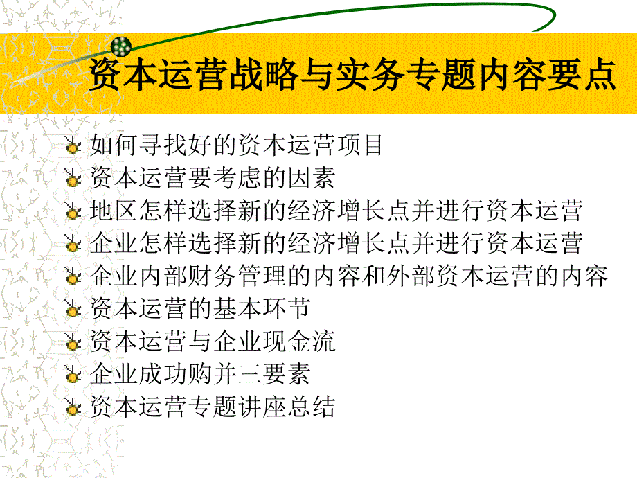 资本运营战略与实务专题讲座_第3页