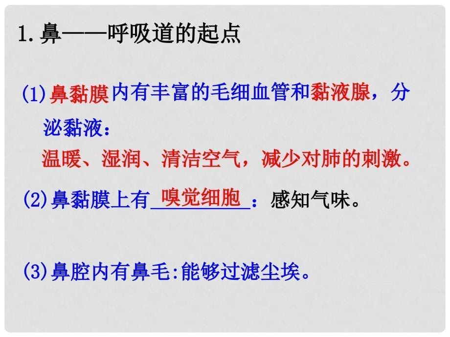 七年级生物下册 第十章第二节 人体细胞获得氧气的过程课件 （新版）北师大版_第5页