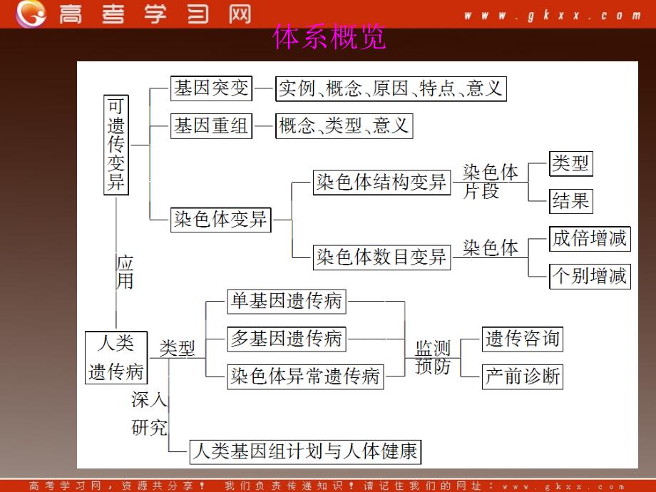 高考生物一轮复习变式训练：《基因突变及其他变异》课件（人教版必修二）_第4页