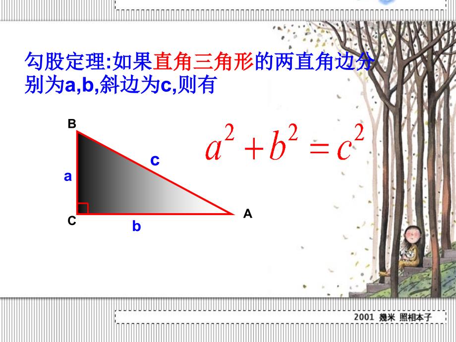 勾股定理复习_第2页