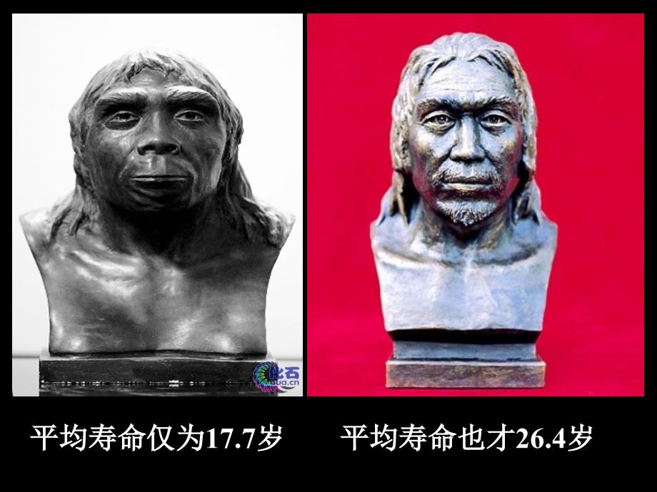 星罗棋布的氏族聚落_第1页