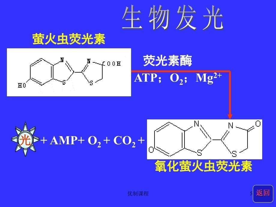 化学发光法的原理技术要点及评价应用（学习材料）_第5页