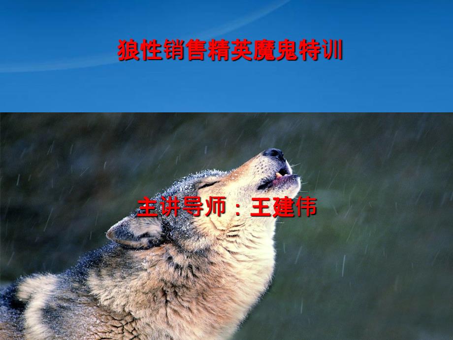 狼性销售六大技能(PPT83页)_第1页